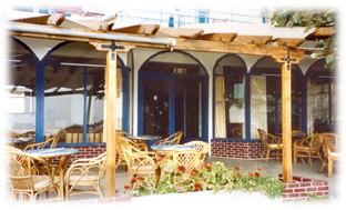 Chryssi Akti Hotel - ������