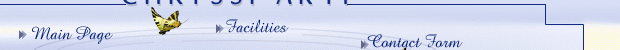 select category