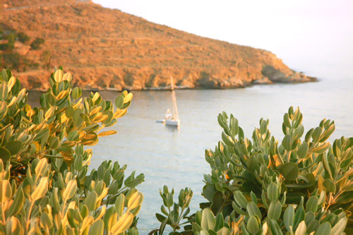 Andros Island, Cyclades, Greece